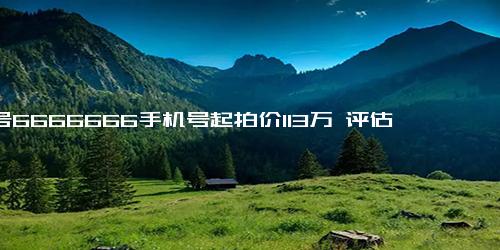 尾号6666666手机号起拍价113万 评估价达160.77万元，引起网友热议